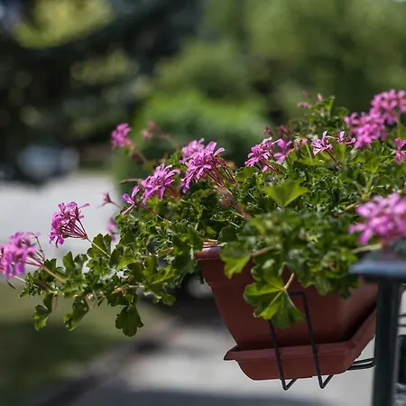 Hotel La Grande Eperviere 3*