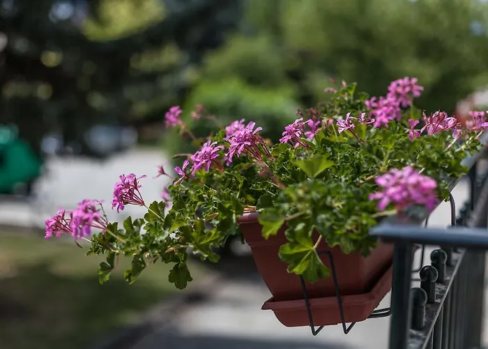 Hotel La Grande Eperviere 3*